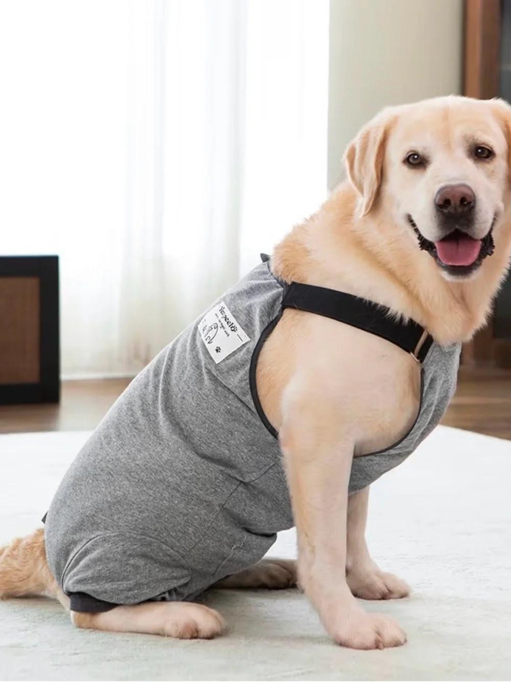 Gray Full-Coverage Dog Recovery Suit - Comfortable Post-Surgery Apparel